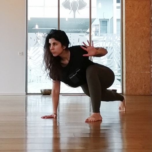 animal flow yoga Cours de yoga animal flow