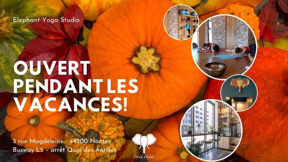 yoga-nantes-automne-toussaint-vacances (1) cours de yoga à Nantes automne 2020