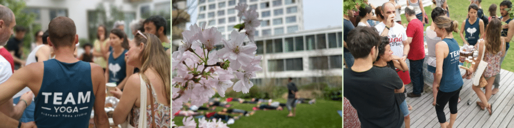 trois photos des précédentes fêtes des adhérents. à gauche Clément professeur de hatha yoga de dos, avec le tshirt de la team elephant, entouré d'élèves. au centre gros plan sur des fleurs blanches rosées, pratique de yoga au jardin en fond. à droite apéritif sur la terrasse avec élèves et professeurs