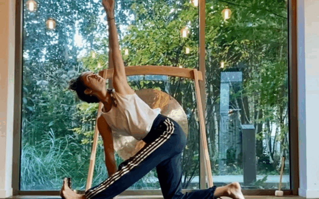 hatha nidra klara elephant yoga studio
