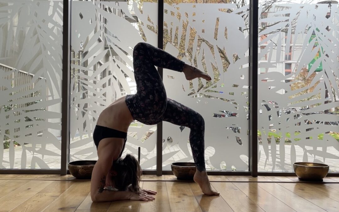 extension de la colonne