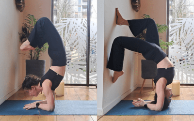 Atelier Pincha & Backbends, vers le scorpion en pincha, le samedi 13 juin à 14h